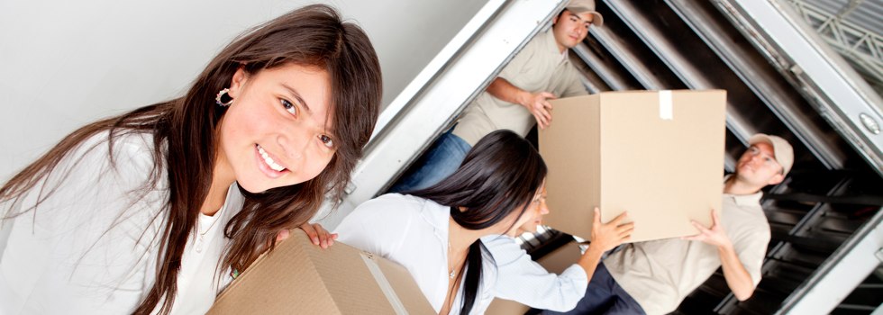 Professional Removalists South Geelong